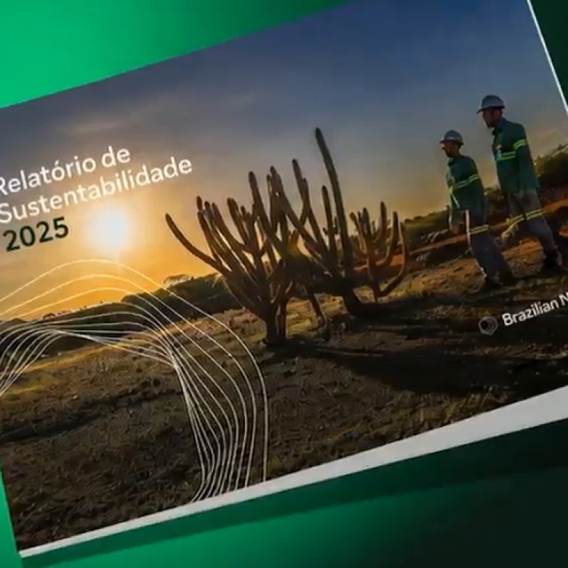 Brazilian Nickel advances sustainability and community relations in Piauí