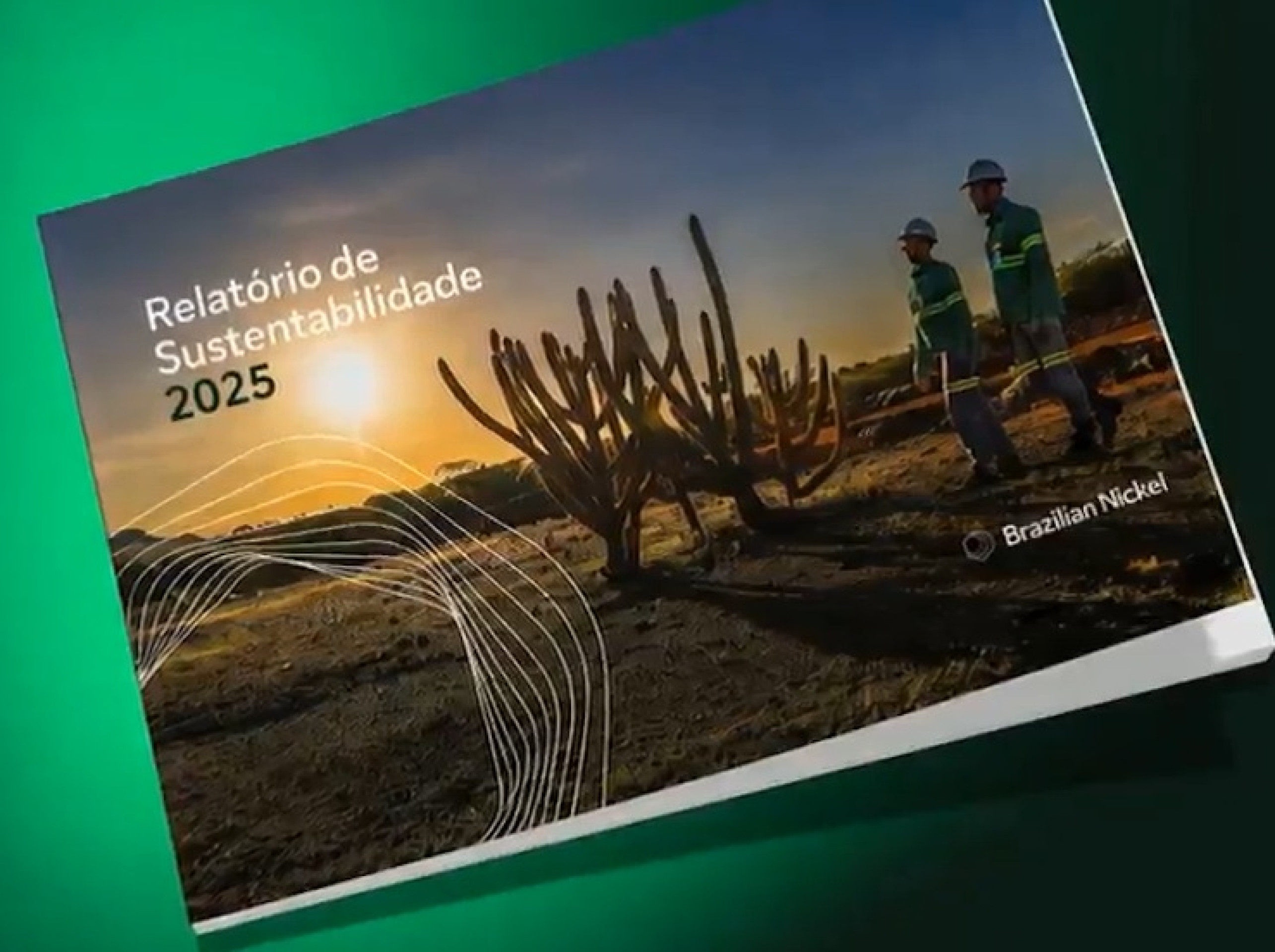 Brazilian Nickel avança em ações de sustentabilidade e relacionamento com comunidades no Piauí